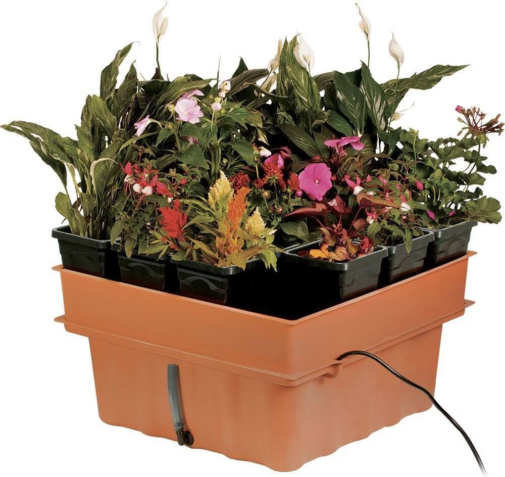 Read more about the article 10 of the Best Hydroponics Growing Systems