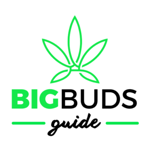 Big Buds Guide logo