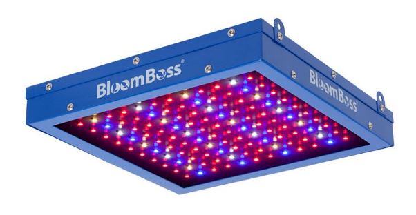 BloomBoss PowerPanel LED Grow Light