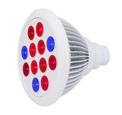 Cirrus Evo LED Grow Bulb - E27