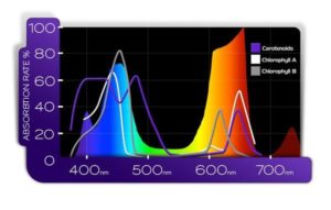 PAR spectrum of a full spectrum LED grow light - KIND LED