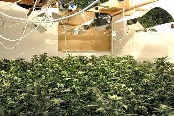 best carbon filter for grow room